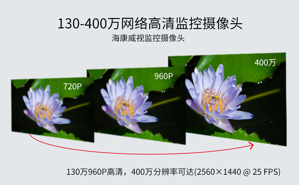 网络半球摄像机